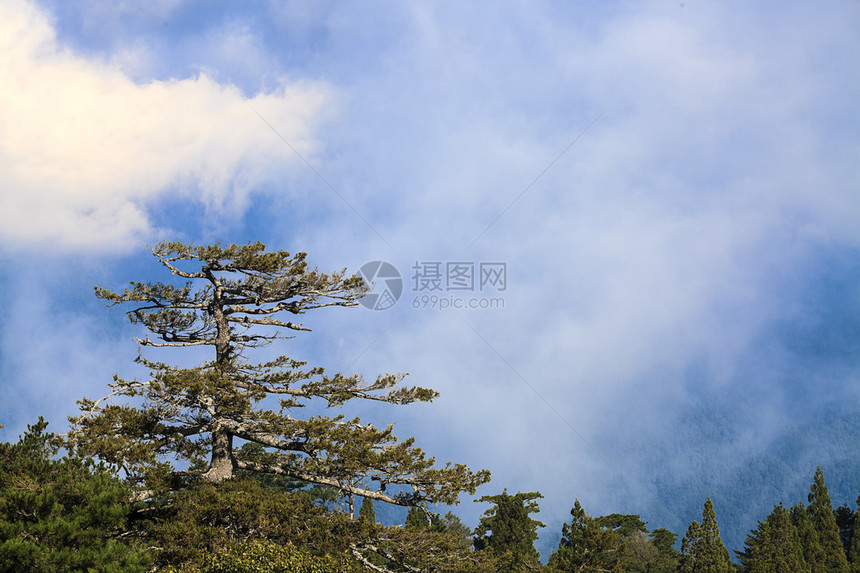 高山的美景供adv或图片