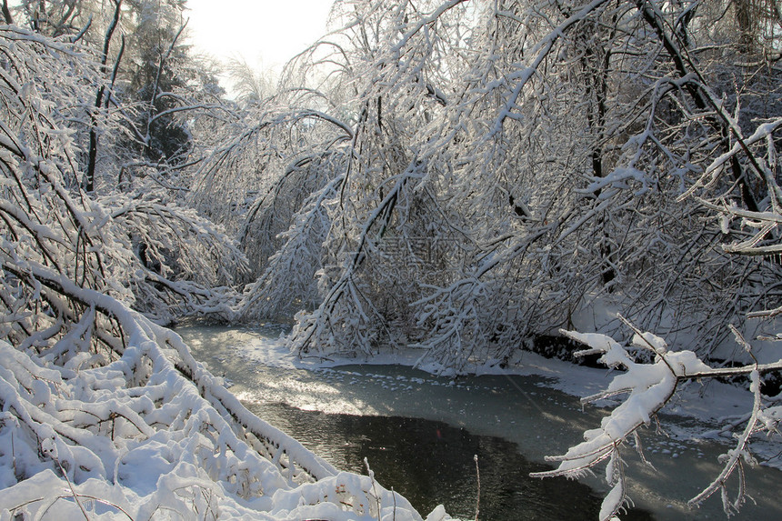 冬季和河流图片