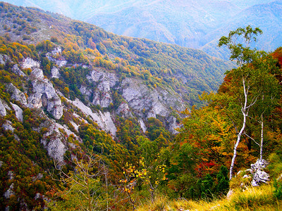 野山秋影图片