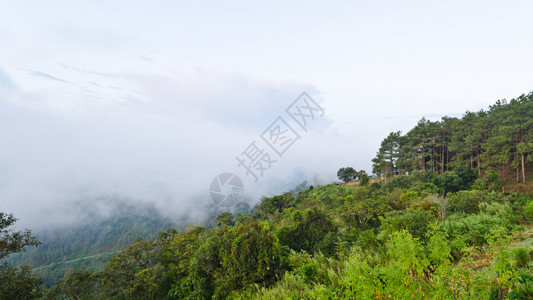 上午泰国清迈省清迈市DoiAngKhang山地景观图片