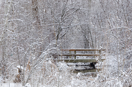 新雪后的冬桥图片