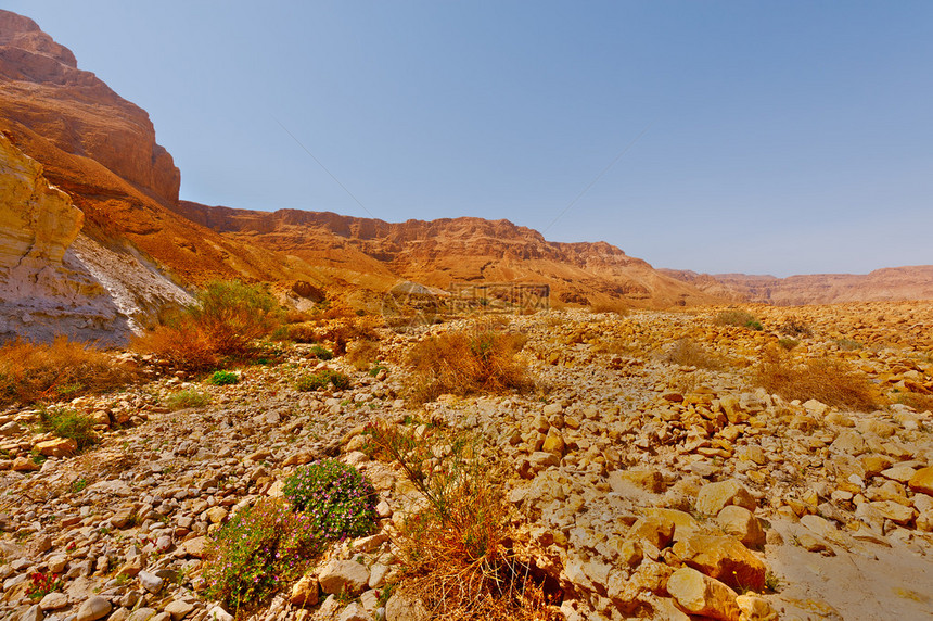 约旦河西岸的石块沙漠图片
