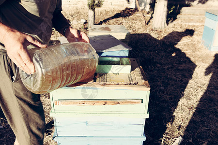 养蜂人检查蜜蜂图片
