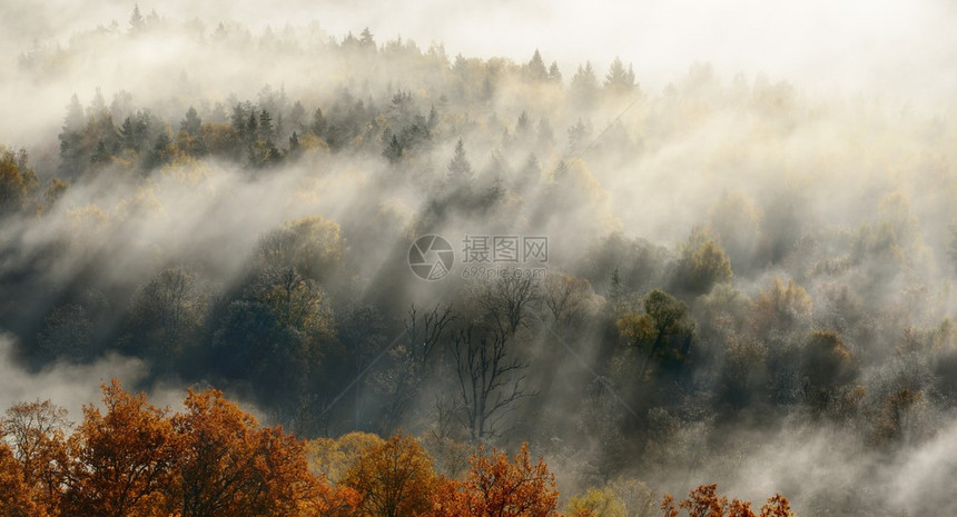 秋天的森林山多姿彩西格勒图片
