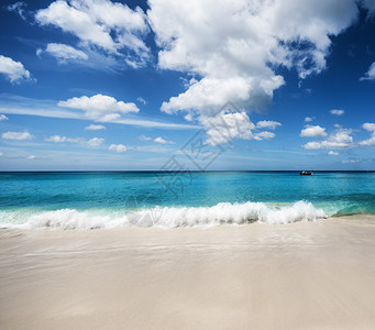 美丽的热带海滩和蓝天图片