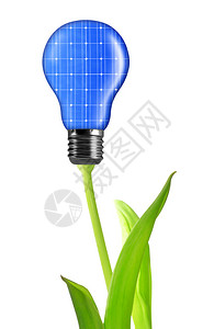 太阳能电池板的生态能源灯泡背景图片