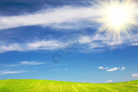 明媚的阳光碧绿的田野夏日的蓝天图片