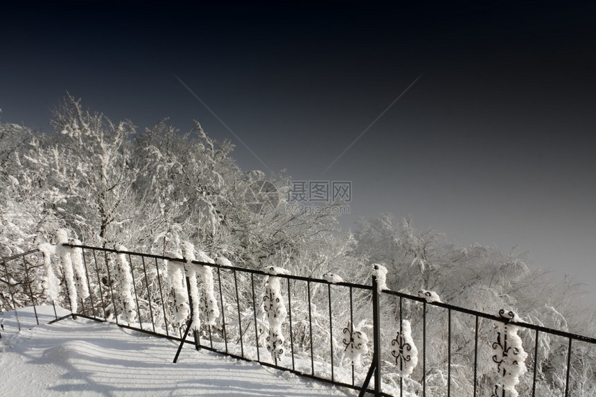 月下雪的冬季景观图片