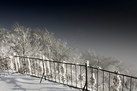 月下雪的冬季景观图片