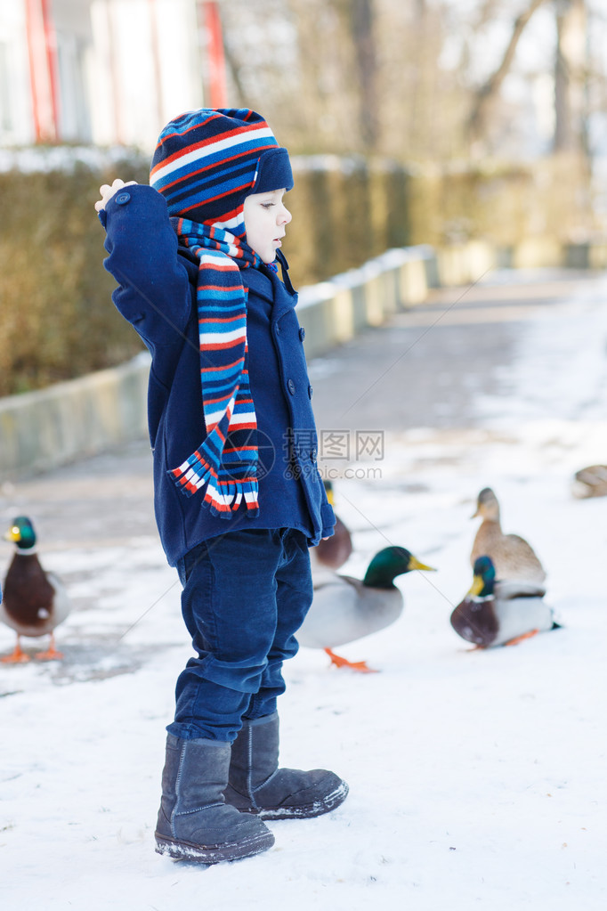 可爱的幼儿男孩肖像在美丽的冬季图片
