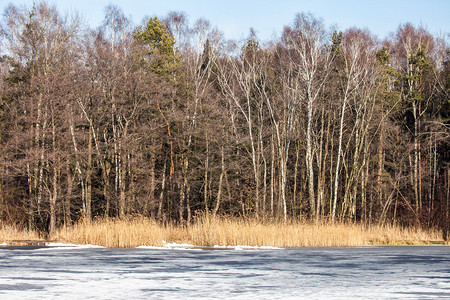 冬天的传统波兰风景结冰的湖面图片