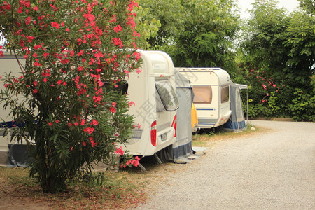 夏季意大利露营地的大篷车图片