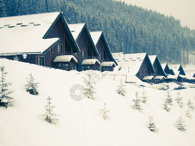 与被新雪覆盖的村庄的冬季景观图片