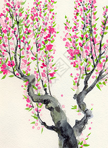 水彩背景一棵老树春天盛开的红花和绿叶图片