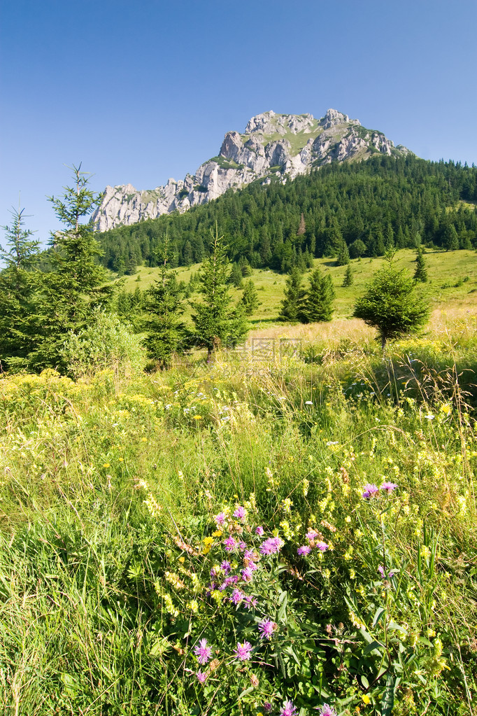 LittleFatra山的石峰BigRozsutec斯洛伐图片