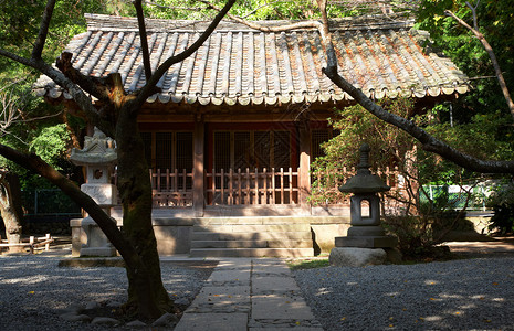 日本宫仓Kotokuin寺地上的木图片