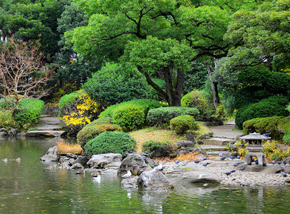 日本的花园图片