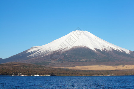 春天的富士山樱花图片