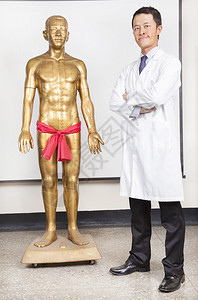 灸法完整的中医大夫和人体穴位模型背景