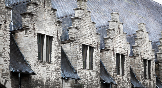 比利时古老而美丽的砖房屋顶景观图片