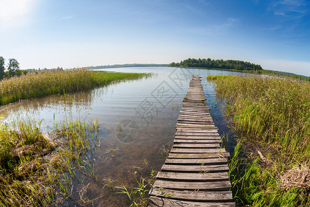 与湖和老木桥的夏天风景图片