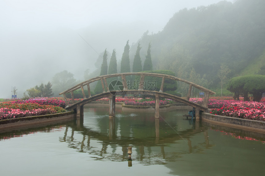 花园和雾背景中的木桥图片