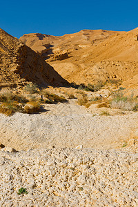 内盖夫沙漠干涸的河床图片