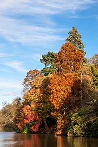 秋天的谢菲尔德公园花图片
