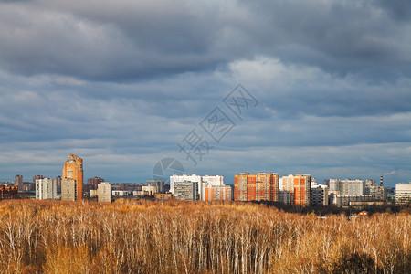 城市公园和寒冬灰色天空下日图片