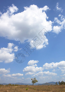 云彩和清楚的蓝天气自然图片