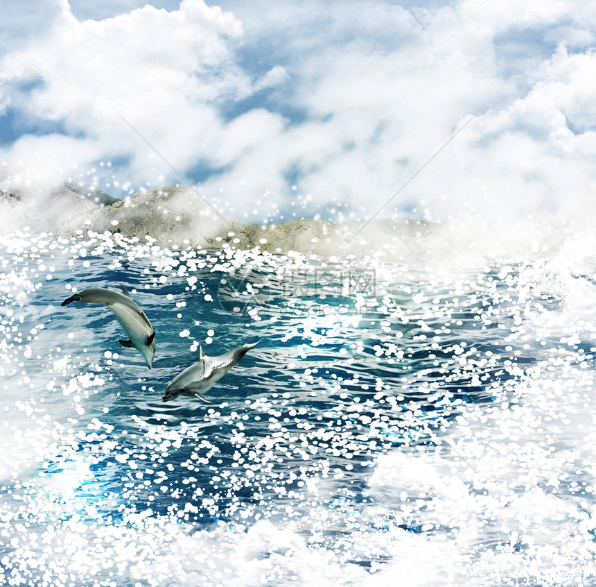 海景和海豚图片