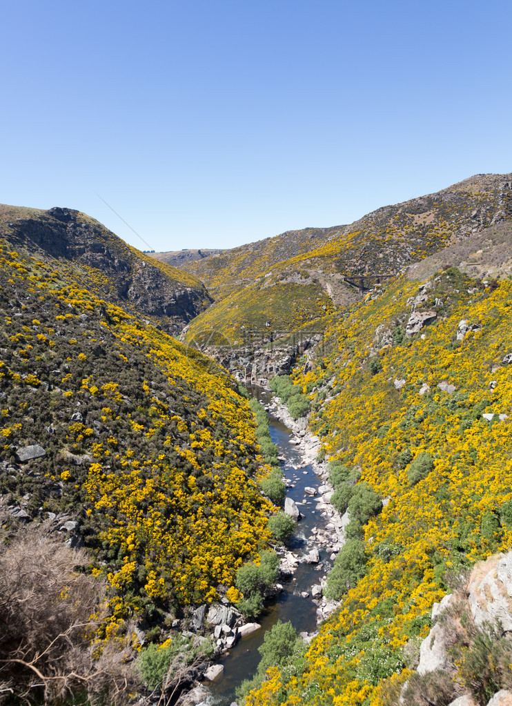 塔耶里峡谷旅游铁路的铁路轨迹沿一条山沟运行图片