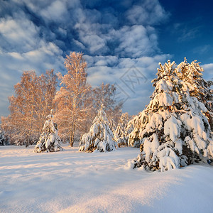 在的美好的冬天风景图片