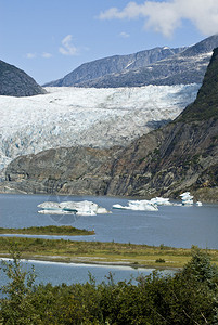 美国阿拉斯加汤加森林门登霍尔冰川娱乐区图片
