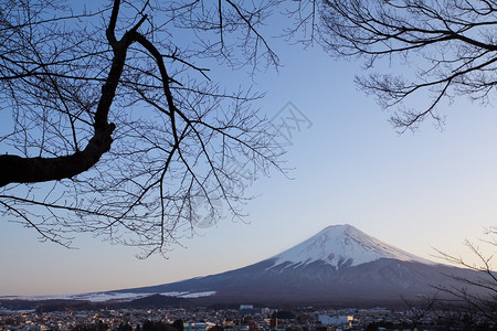 Kanagawa省Hakone的冬季富图片