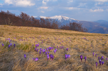 春天的山地风景图片