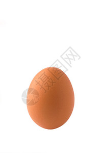 棕色鸡蛋图片