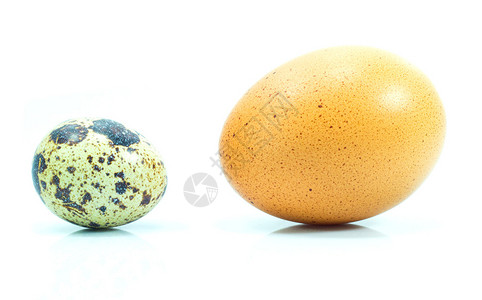 白色背景中的鸡蛋和鹌鹑蛋图片