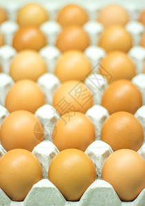 鸡蛋箱图片
