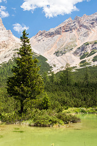 山湖树从后面斜坡陡峭图片