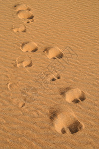 沙漠中的骆驼痕迹图片