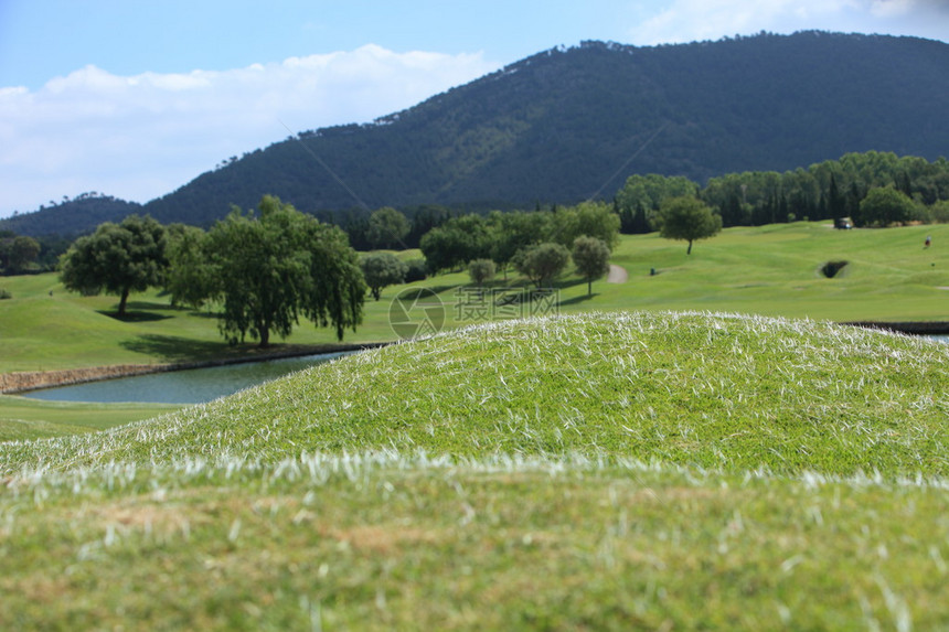 夏季阳光下高尔夫球场上充满树木和水特色或小湖图片