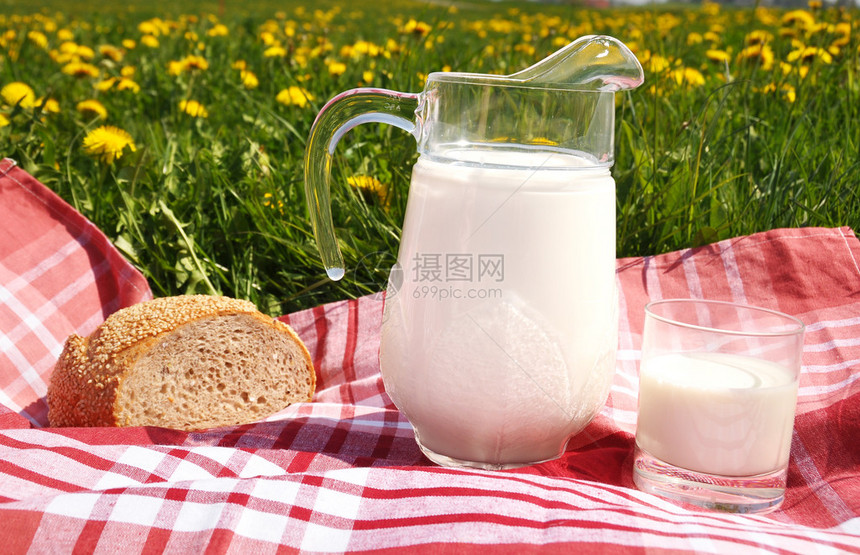 瑞士Emental地区春草原上的牛奶和面包图片