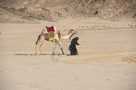 在东部沙漠中背景图片