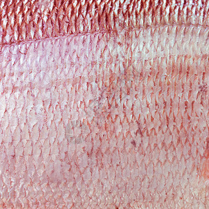 鱼皮纹理用于背景图片