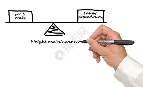 能源摄入量与能源支出之图片