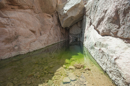 沙漠山峡的淡水池淹没在图片