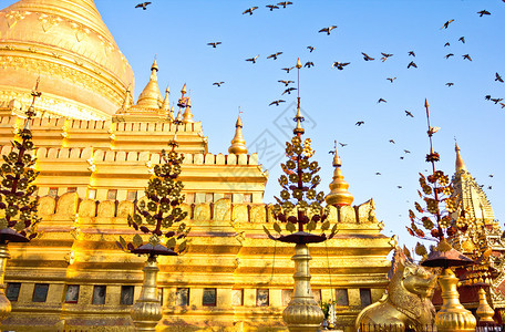 缅甸巴甘的ShwezigonPagoda或Shwezigo图片