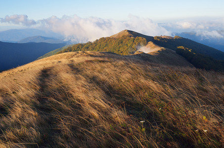 清晨秋天的风景通往山区的道路草地上的阳光喀尔巴阡山脉图片