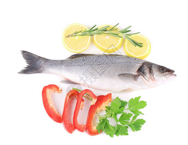 新鲜的鲈鱼配胡椒和迷迭香在白色背景上图片
